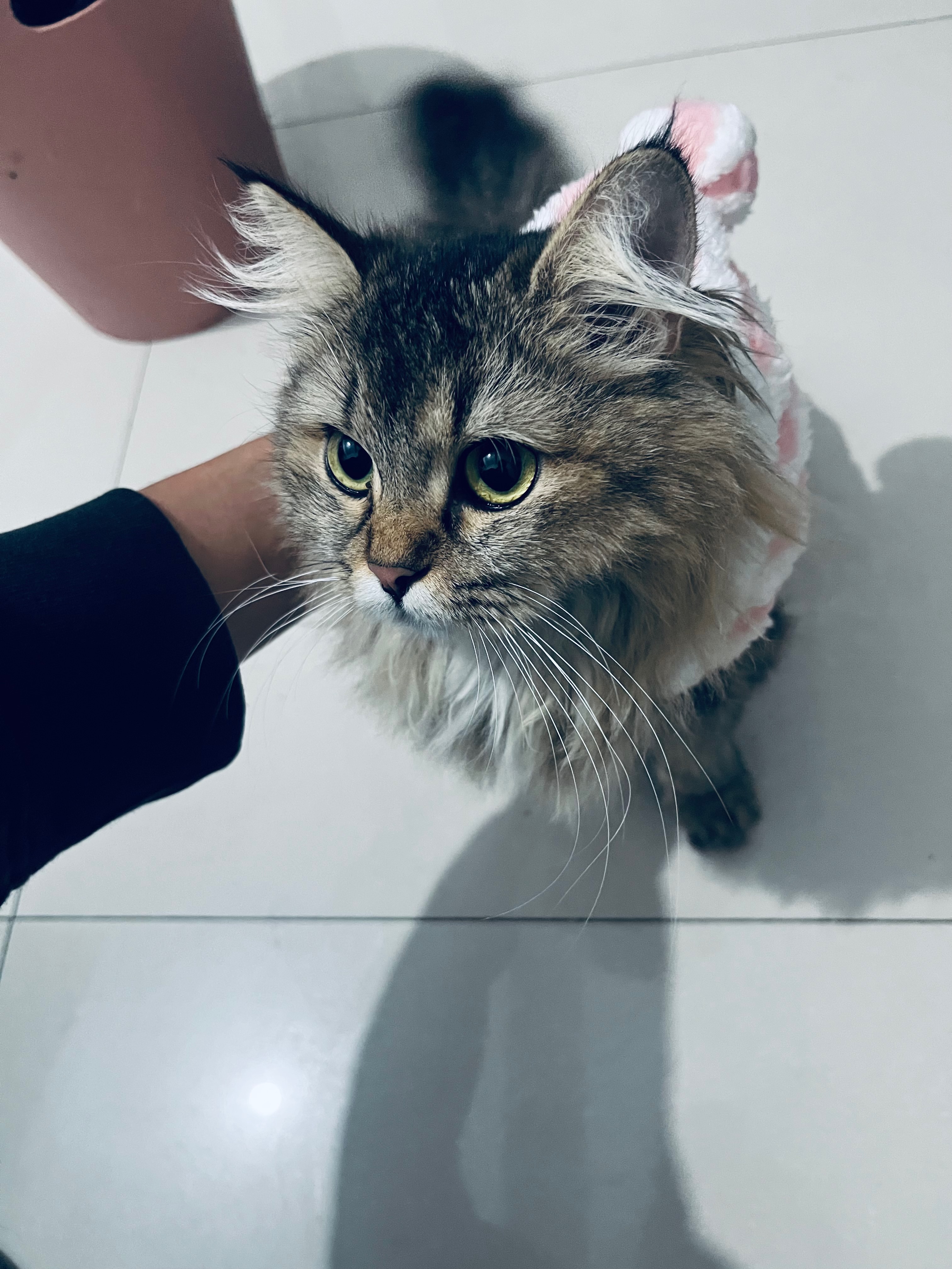 健身回去的路上