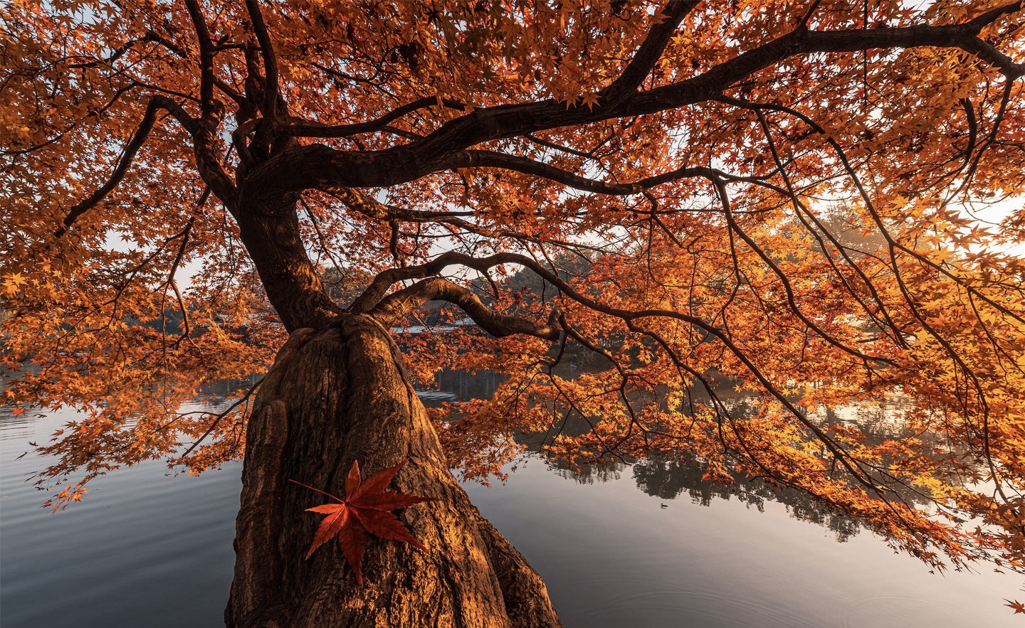 Featured image of post 2025.10.28 秋